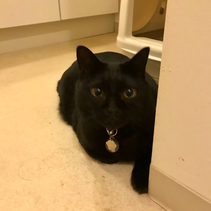 4de59109 569b 431f 8e80 23127129ebed 1546084966847