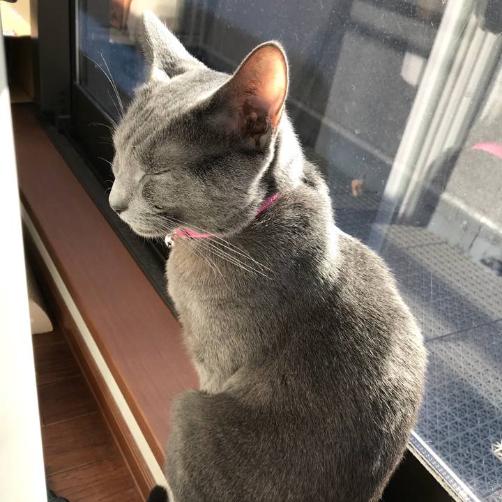 4de63034 7c14 4162 942f b4050f8c6883 1517990658956