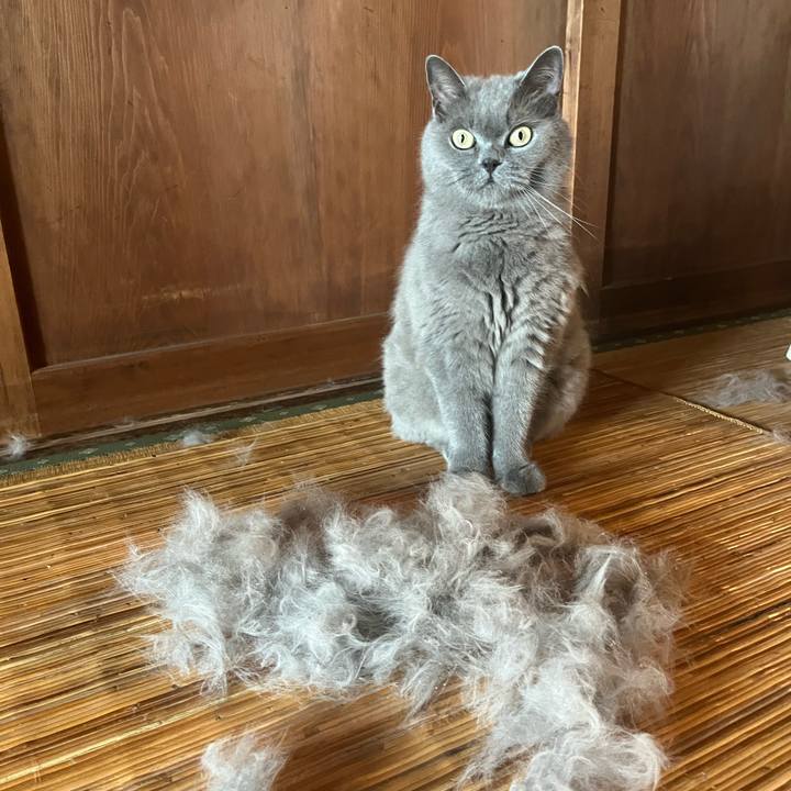 4de63063 d807 4723 8384 67dfef7282cf 1755048660962