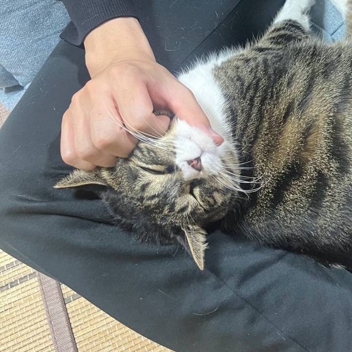 4de64bb4 62a4 4688 9a0a f9e546a9b02b 1776125366426