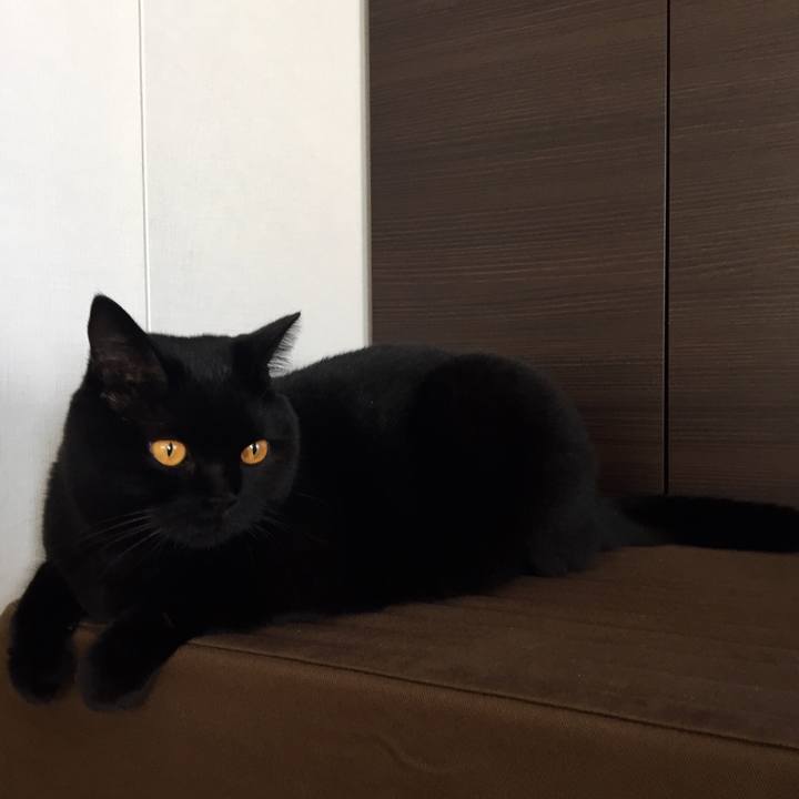 4de66b17 ea62 4aba be49 020dff94a0c7 1537306770446