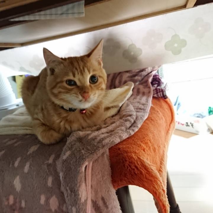 4de697dc d127 4551 bc4a 94f280d20ff9 1635197650636