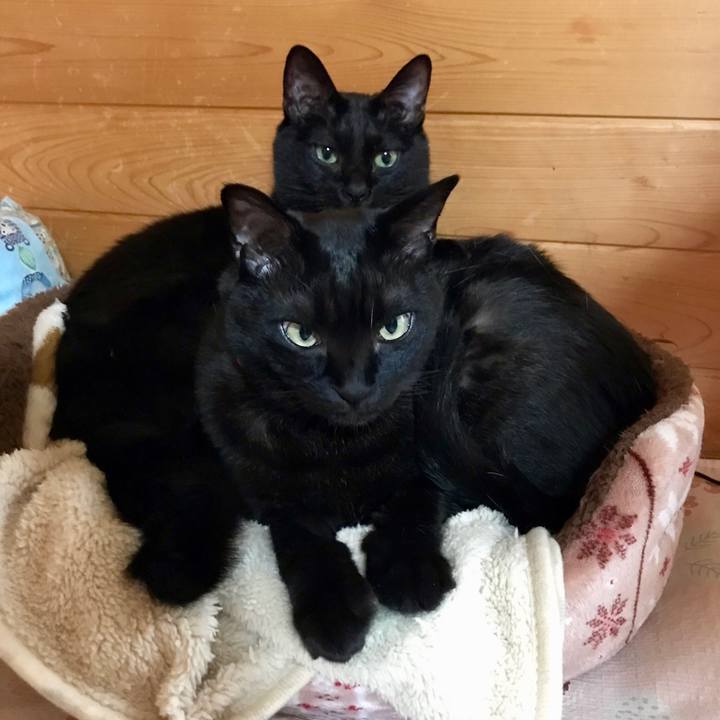 4de69a1d 3b2b 426e 90a3 349a9c7c6286 1552463257026