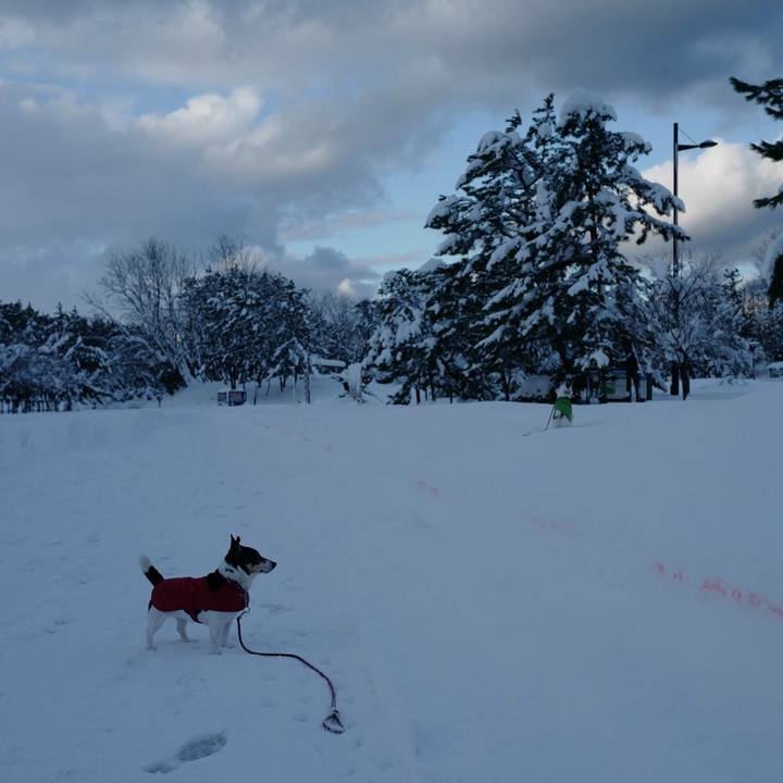 4de69c9e b10e 47d6 9033 db2ea905a393 1515904047331