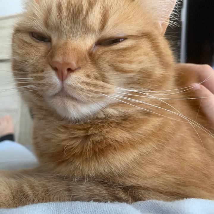 4de6a511 8ca9 4c44 9ef0 14b0a7af3bce 1649720854770