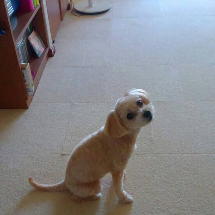 4de6a86d 1b9c 4646 93bf 540caeb7b3c8 1570538730999