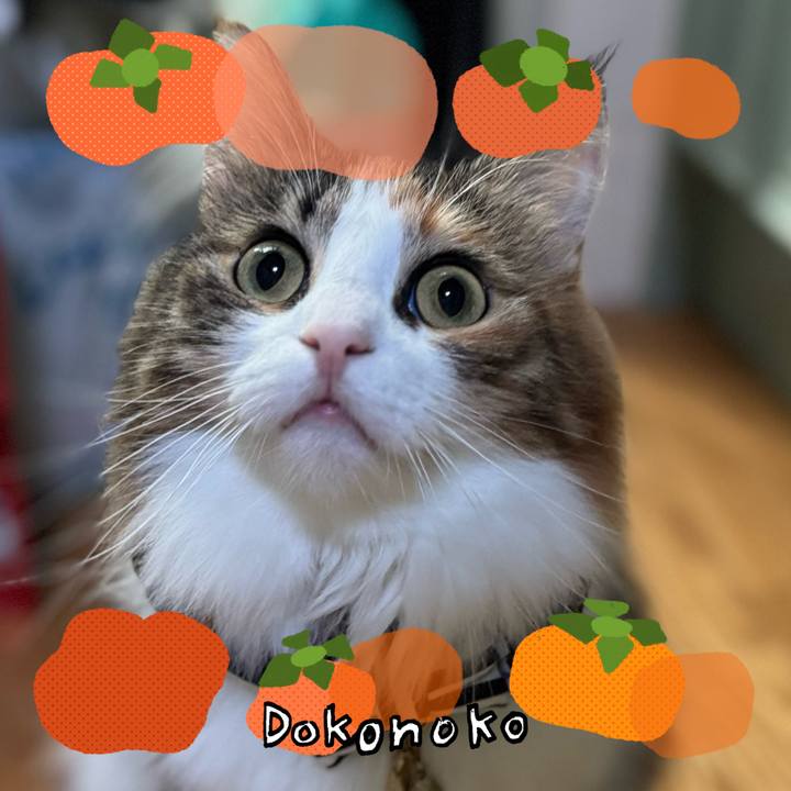 4de6bfa1 3b1c 477e bd4e ed0cacc7948a 1761523772675