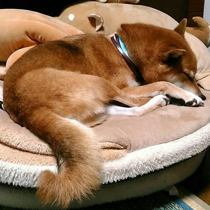 4de6cf7c 1fd9 4a58 b39f 5a7229cc067d 1539522957707