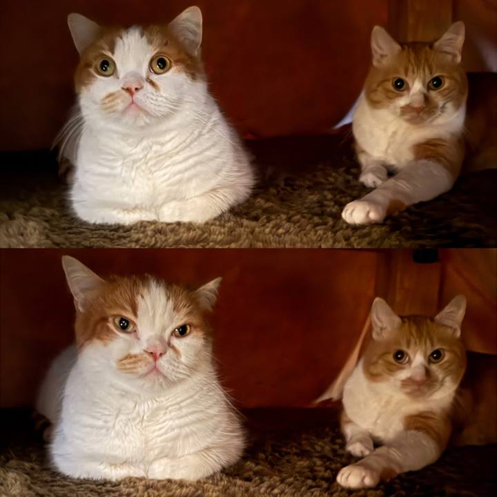 4de6e91a 9a42 49c1 afce ef512ef7556f 1770641539320