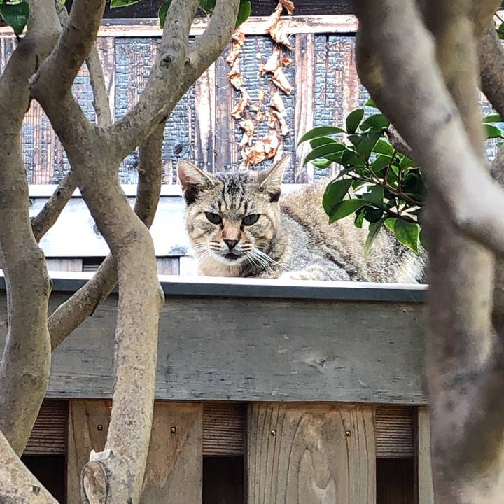 4de738c3 aa2a 462f acad 95b0f80100eb 1633395755697