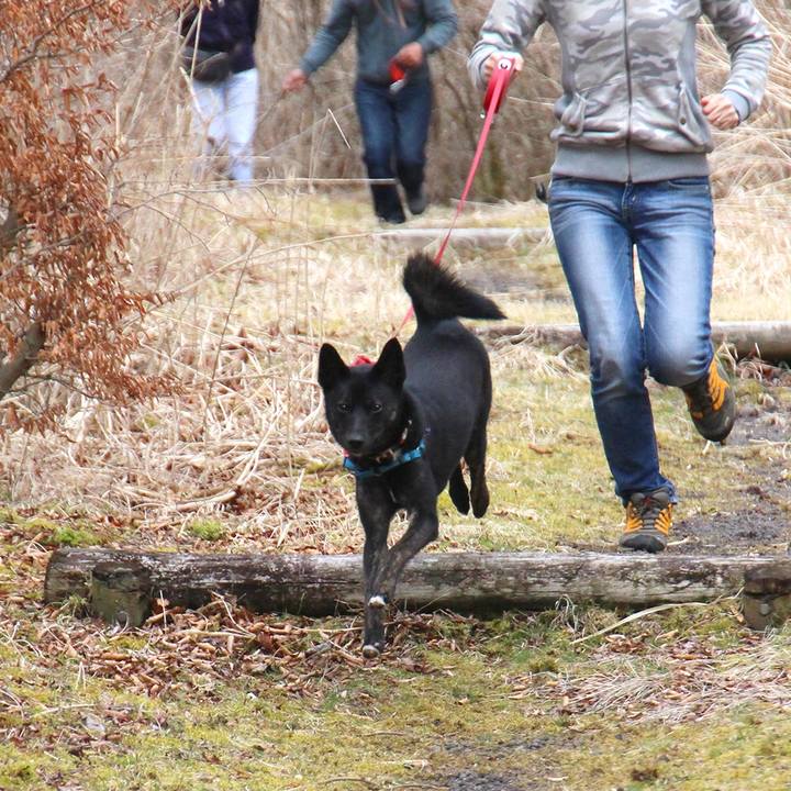 4de79991 573e 40c4 a4ca 902d9b083c6d 1515286271734