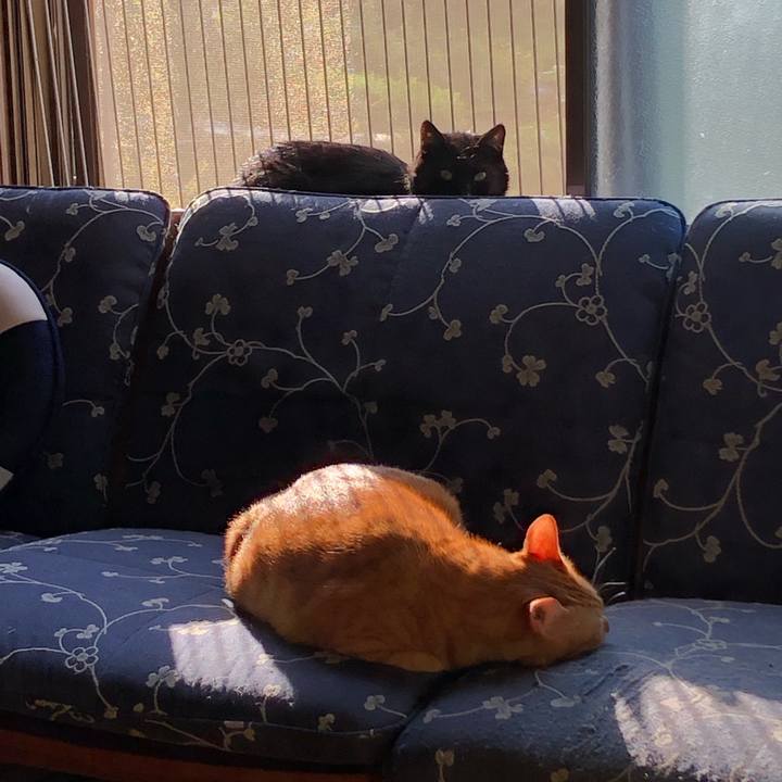 4de7a54a cd1a 4677 b3a7 f693a2e73ecf 1569650049663