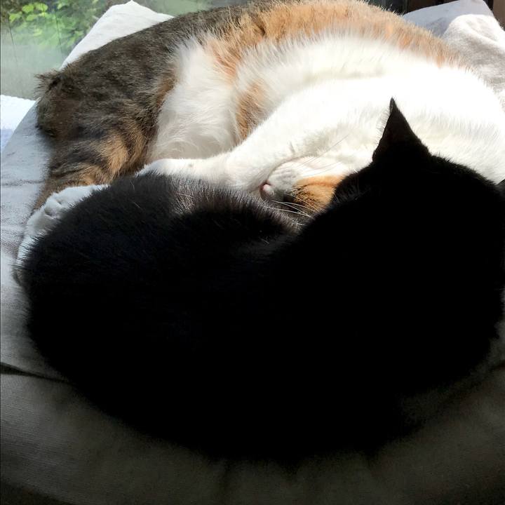 4de7cf9f 71c1 4315 8ffb 694fdea82acf 1557633164500