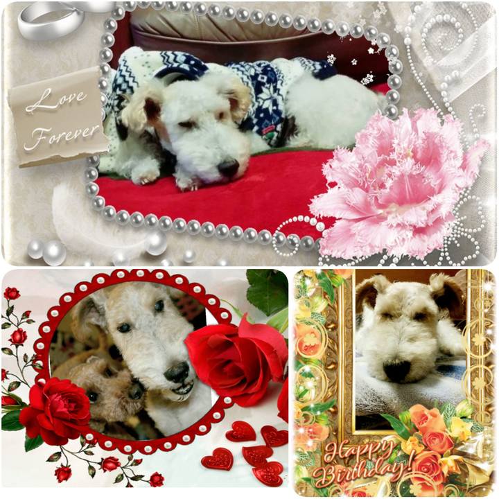 4de7e44f 28c9 4254 b522 13cc2bf42622 1589588685520