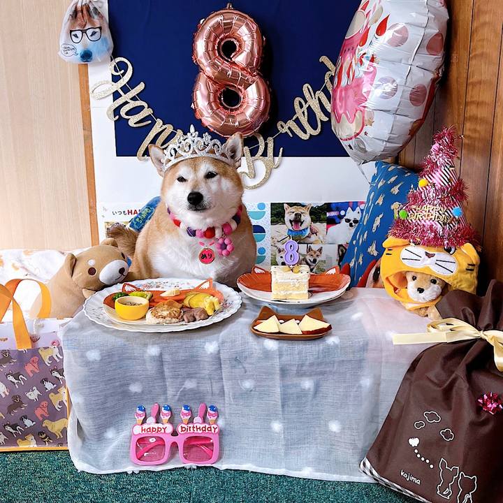 4de81271 55dc 4bcc ab1e ec73c8e15783 1668119382570