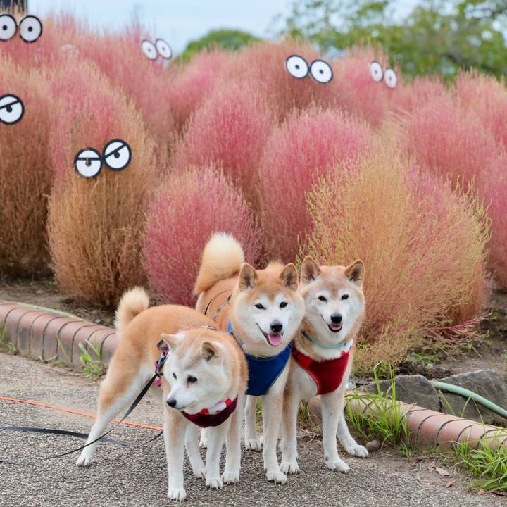 4de870a2 a294 45b3 ae4f 1c3647374f28 1758631980695