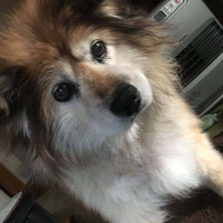 4de8862b c1f0 4736 9b1a 888fe7e2c82e 1583973834697