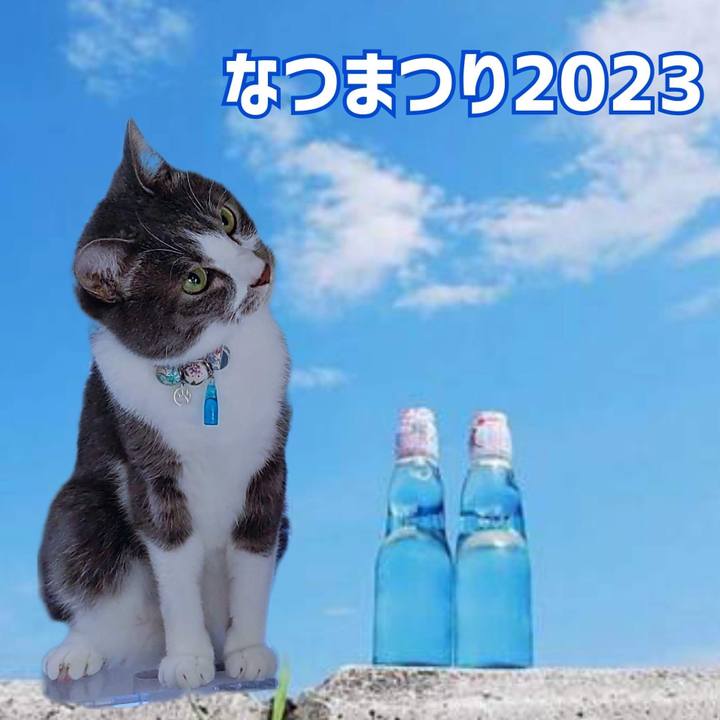 4de8951b 28e9 4d53 a661 6081b8ad0818 1693007305969