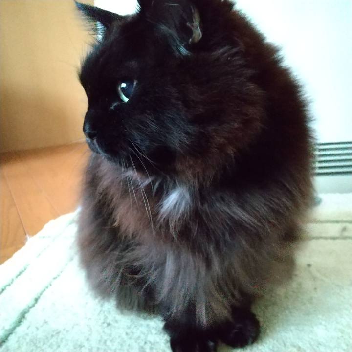 4de8bbe1 752e 47ce bc29 4dc1965bbd46 1674344193505