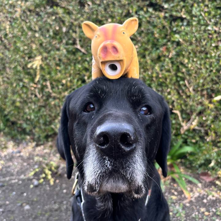 4de8cf62 efdd 4f6d 8b73 e1d16c4b46ea 1767264193440