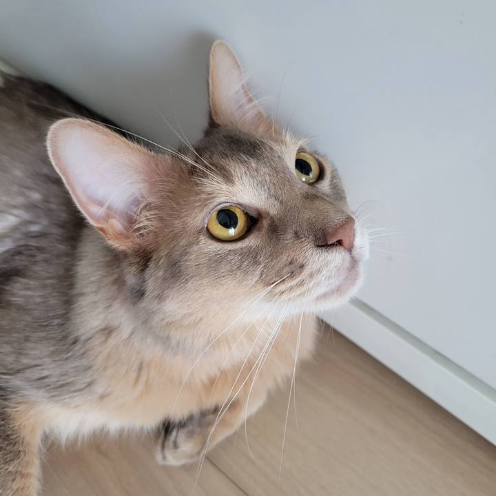 4de8d7a9 b72a 4761 9946 3eb44a4e70c9 1654821820420