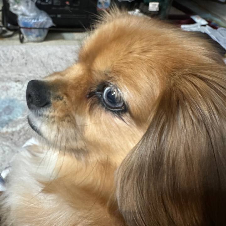 4de8da7b 350f 4d08 9936 c2837eb35e35 1705613446236