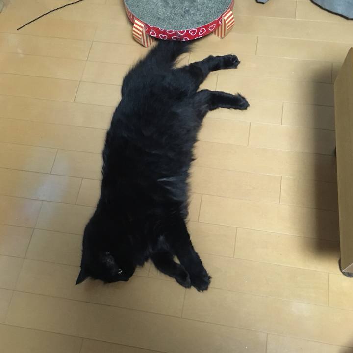 4de8ef72 5db6 46c7 8385 22fbf5354567 1531323469371