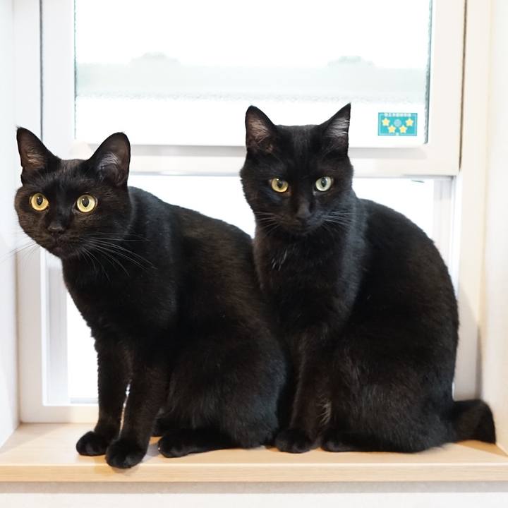 4de902fa b887 4fa5 b055 bd9887b2f3d1 1563838585069