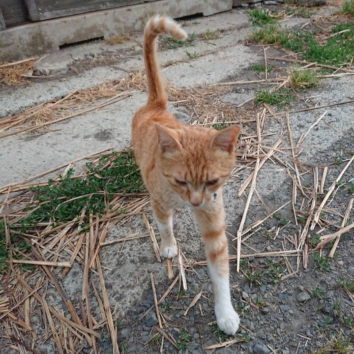 4de90991 4aa6 4294 9248 aa84b71cf174 1559725263960