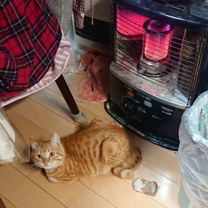 4de9388b 7cad 40df a569 a5296d85b0a3 1639393688332