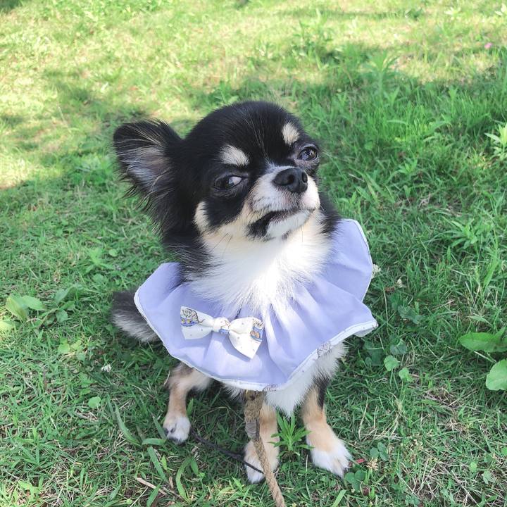 4de9411b a78f 42f7 982e 584f55b21dc5 1563099791997