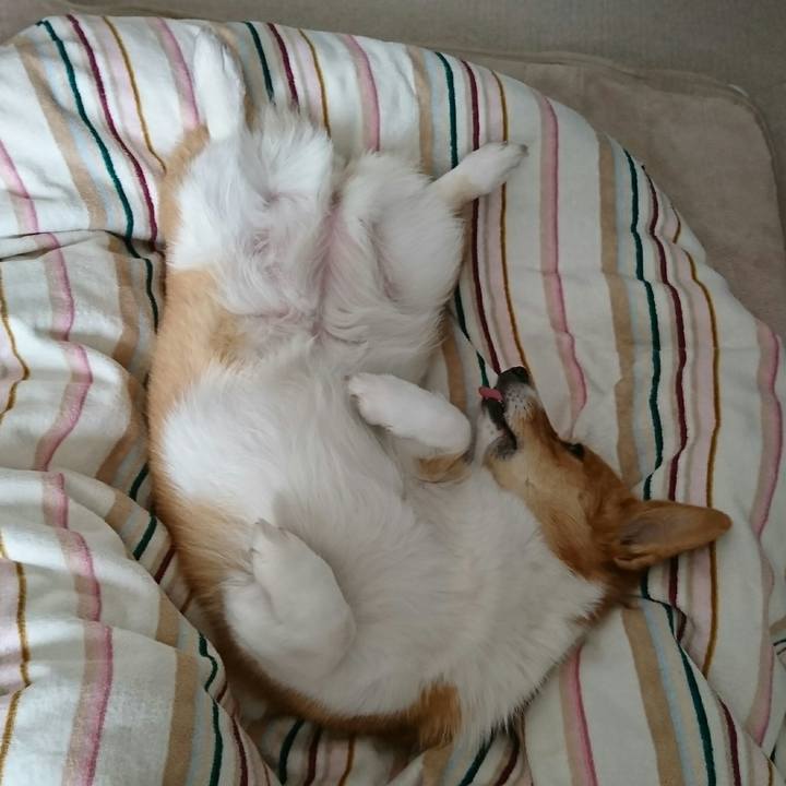 4de97227 f168 457d add1 5816e683c8f1 1517356336308