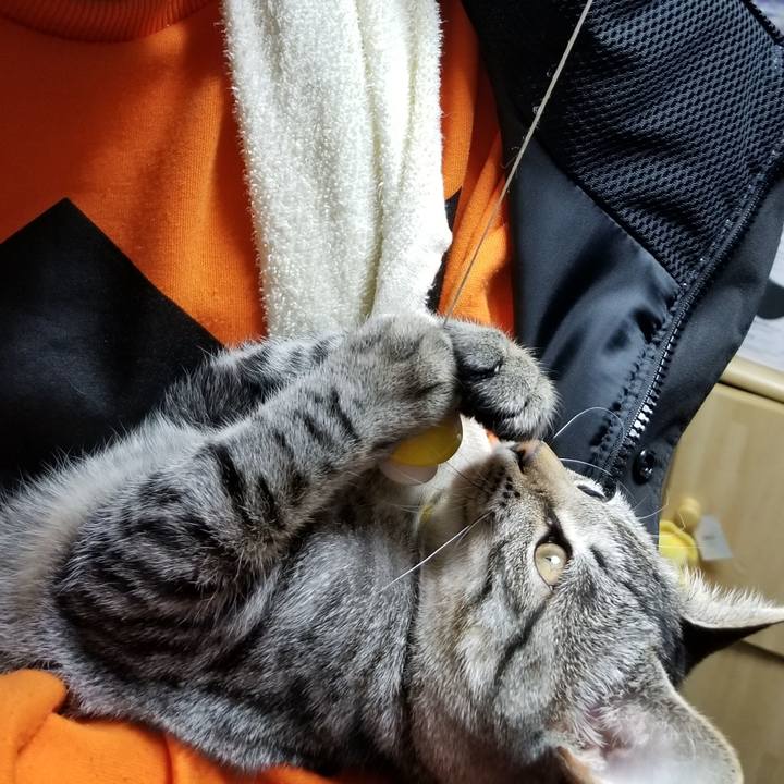 4de98593 6cc1 430f 8c74 0e2060305305 1669305587254