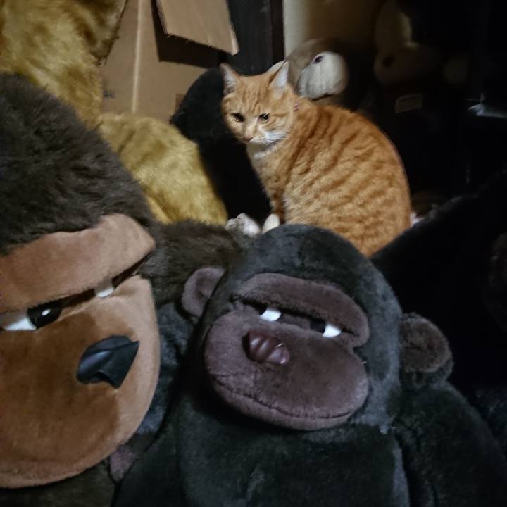 4de9951c 4849 46f0 8c36 9de5303bd985 1607939448502