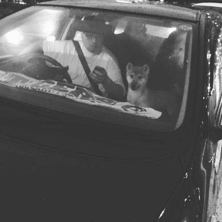 4de9a518 adaf 43f6 aac9 78ff2660071e 1512403360398