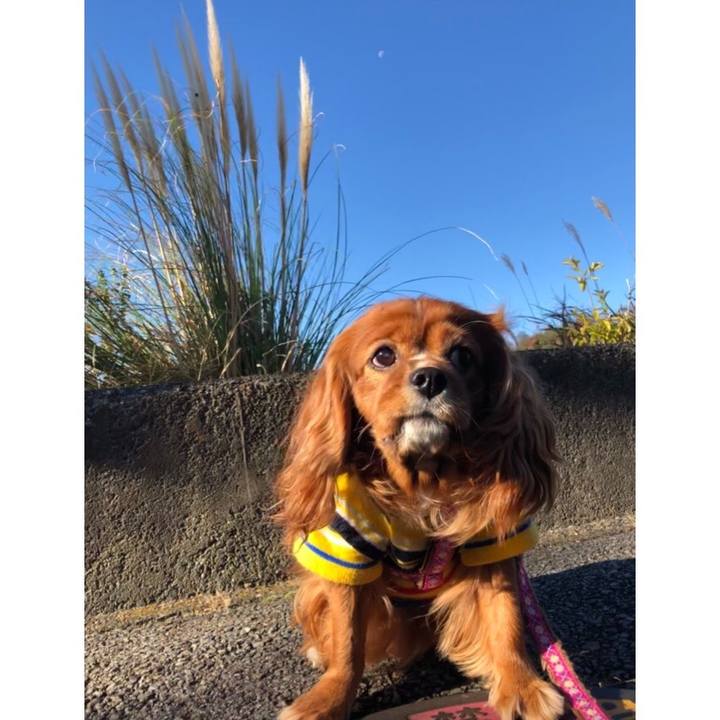 4de9c232 a2f2 4375 8aa6 54c066973f41 1640479909515