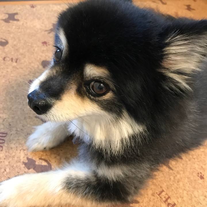 4de9cd4d 4a66 4f27 907e a003325ef6e1 1528989212078