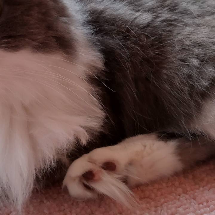 4de9d099 cc32 419f b819 87e6bf38fb9c 1632102370078