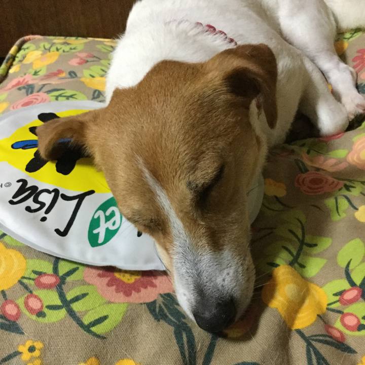 4de9df2c 97e2 4853 a98f d52428d5b3dc 1561897964726