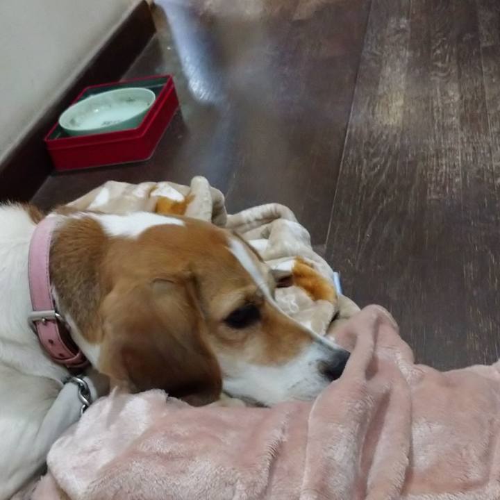 4de9f980 3dd9 4324 bbf8 04bcac7c5ff9 1601639926162