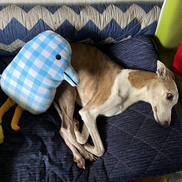 4dea5352 e978 4856 a3b2 21b97938d81a 1759652891973