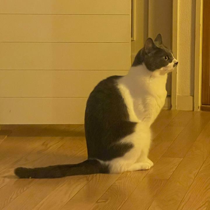 4dea593e 8353 4b14 a556 86029b438c6b 1663579515510