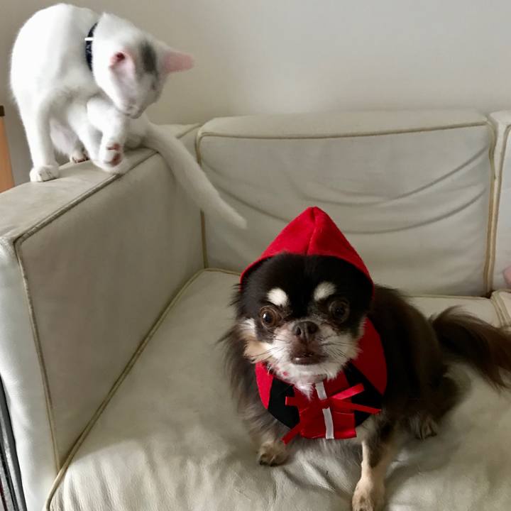 4dea84c0 0f3b 4f2a 9842 4de114a6e15b 1571656812184