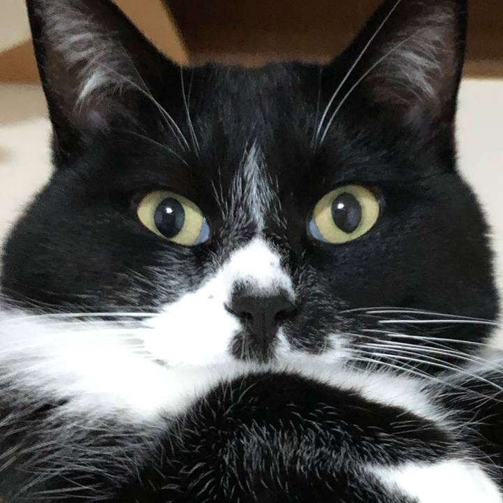 4deaa52c 1db0 42f1 a401 85f31771b2c6 1650181989062