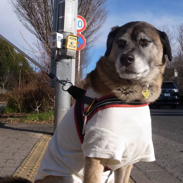 4deaad0b e823 4782 b5b0 08b97b95ac3e 1595638171152