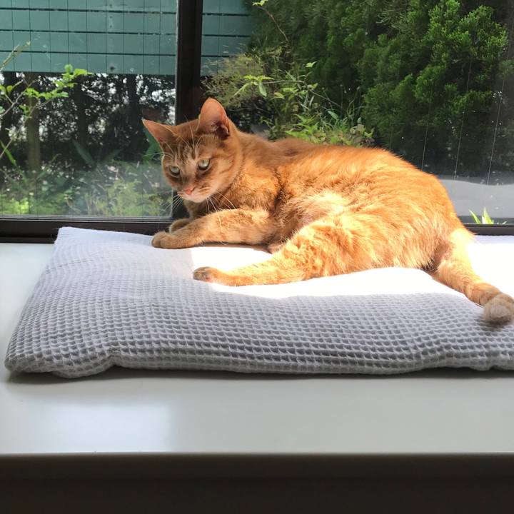 4deabe89 e8e6 4b7e 8573 d9f0ea931e02 1527661510364