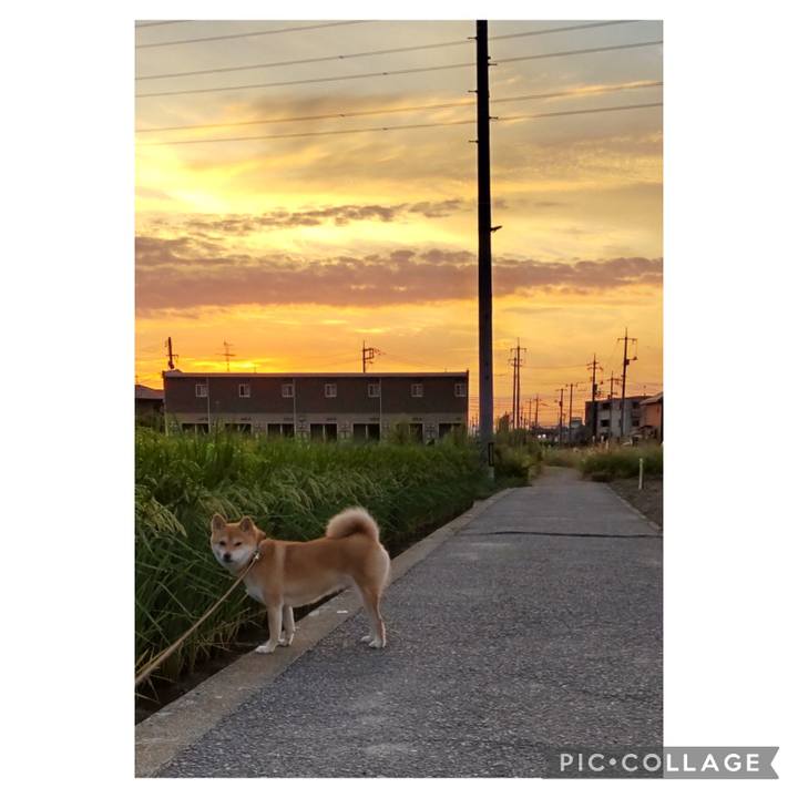 4deac114 bedf 46a1 a3d3 2a4bc8f76795 1694298979284