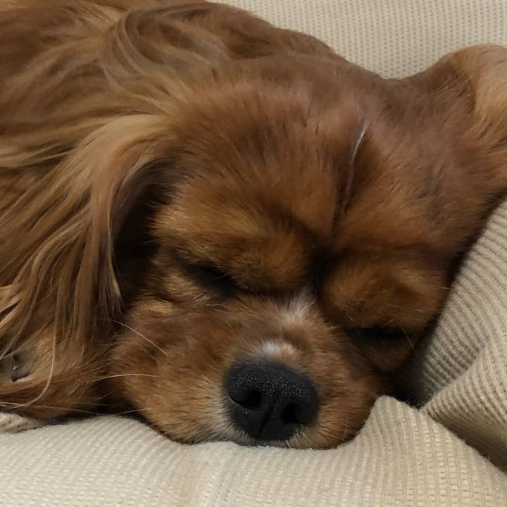 4deac8af 6216 42c7 a6a1 60b07db74ed4 1589031591454