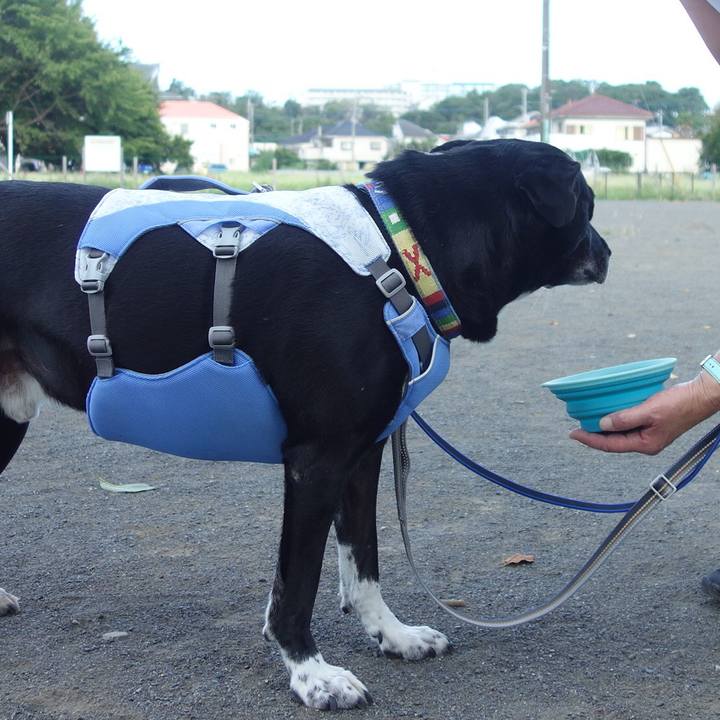 4deadc34 7442 496f bfe1 f3a09106c073 1690936401095