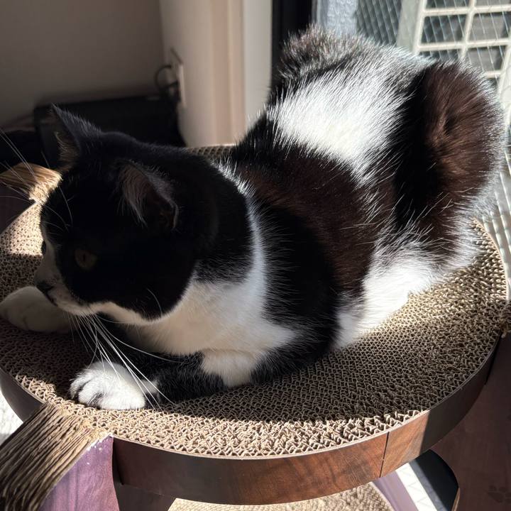 4deb0bbe c991 4d8b 80c1 01075416d0c7 1764212761043